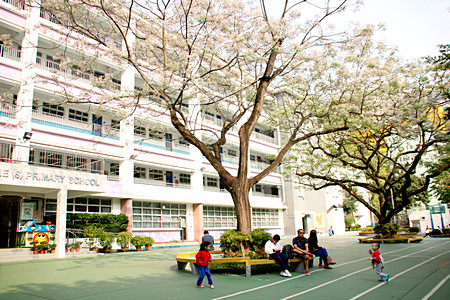 官立嘉道理爵士小学